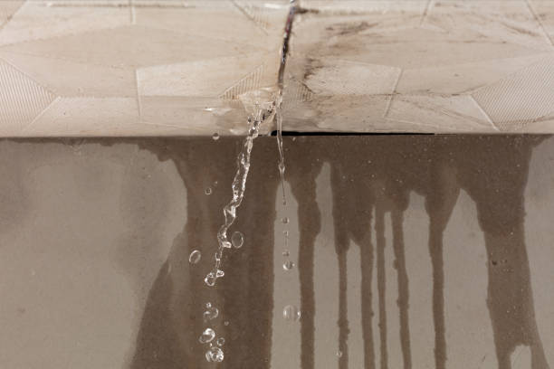 Professional Flood Damage Cleanup technician working in Bladensburg, OH